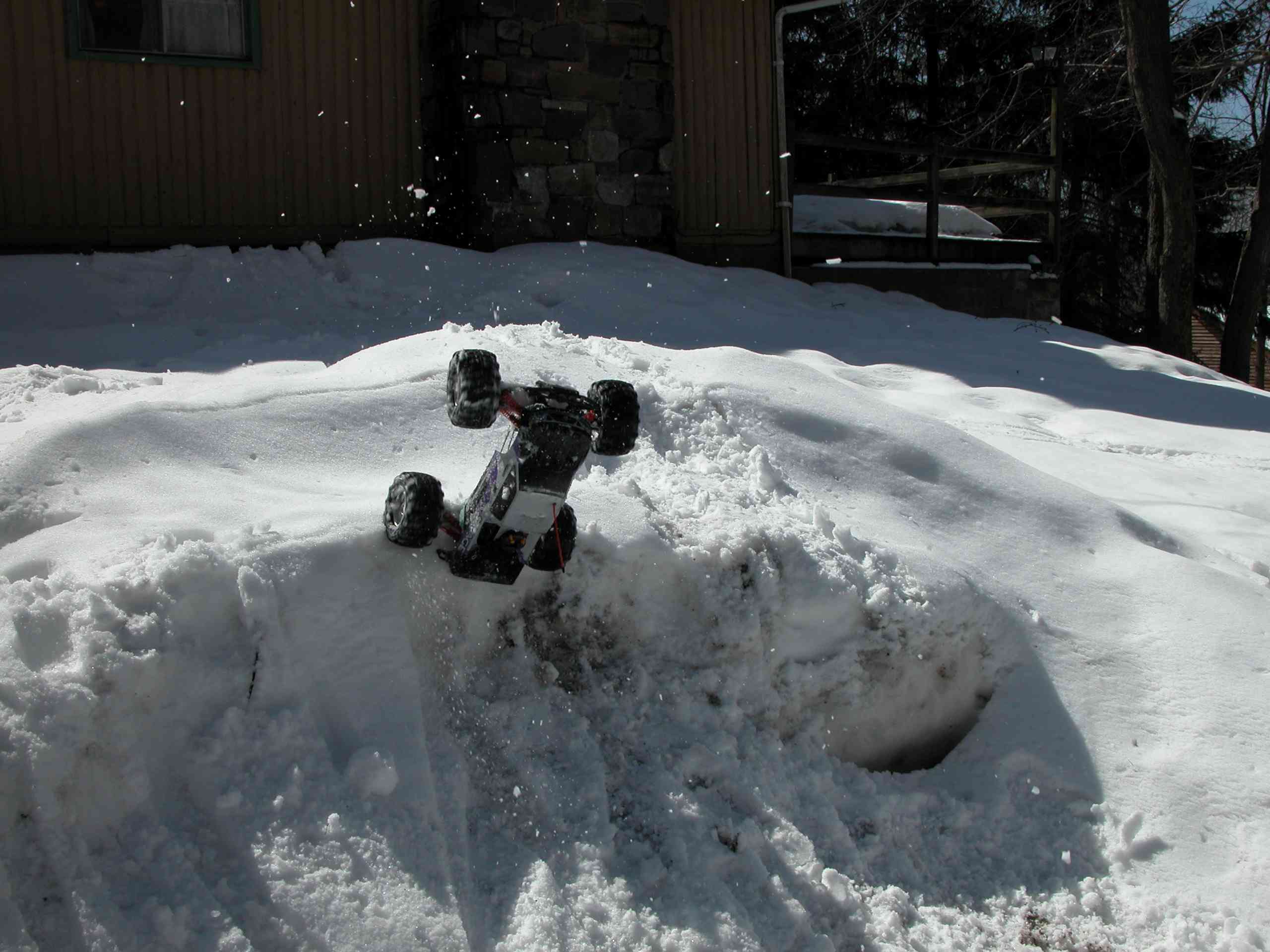 Savage in the snow